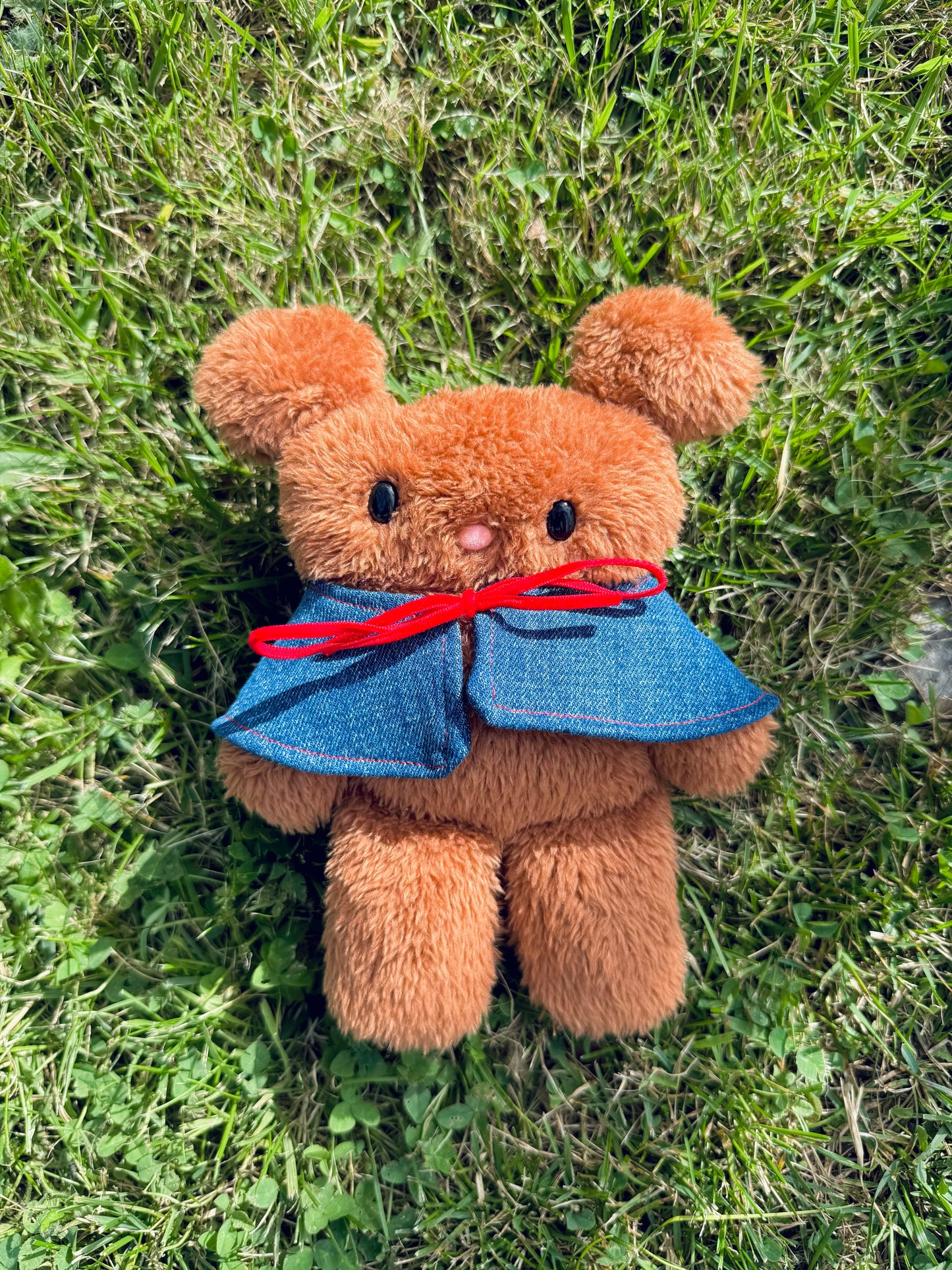 Brownie bear